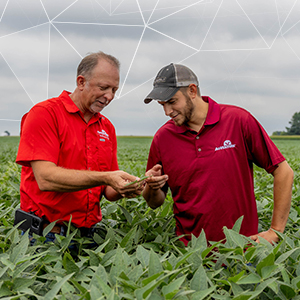 agronomist and rep in field